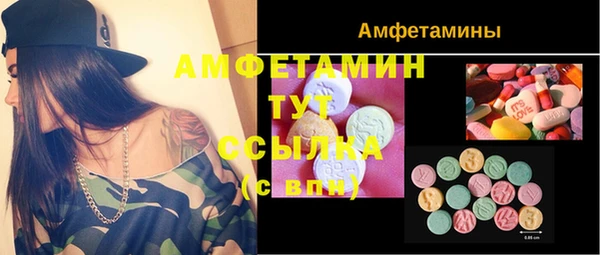 ГАЛЛЮЦИНОГЕННЫЕ ГРИБЫ Аркадак