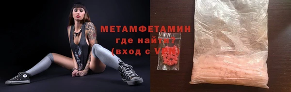 ГАЛЛЮЦИНОГЕННЫЕ ГРИБЫ Аркадак