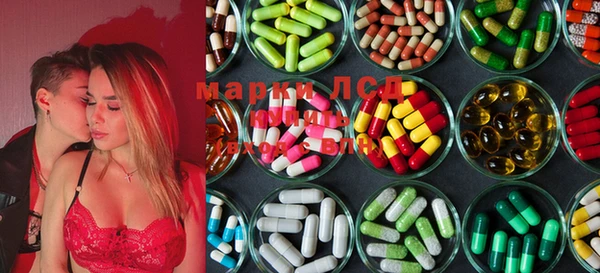 ГАЛЛЮЦИНОГЕННЫЕ ГРИБЫ Аркадак