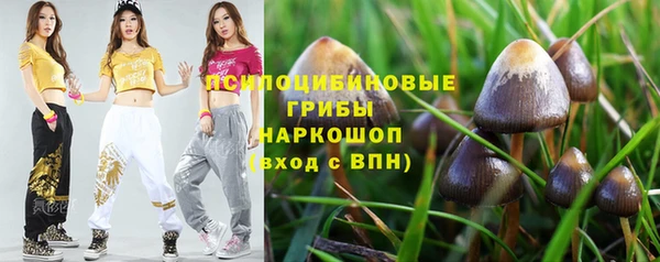 герыч Арсеньев