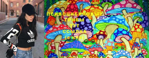 ГАЛЛЮЦИНОГЕННЫЕ ГРИБЫ Аркадак
