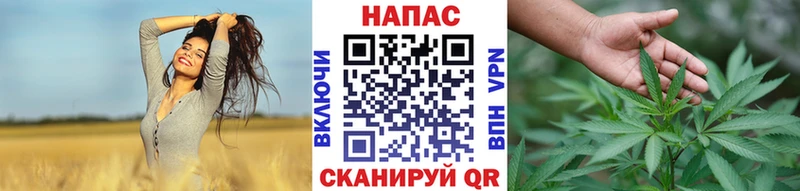 Каннабис индика  Калачинск 